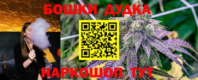 кокс Шебекино