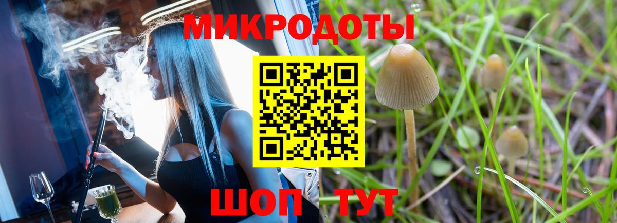 Набережные Челны  где купить наркотик  Вход с VPN  Псилоцибиновые грибы Psilocybine cubensis 